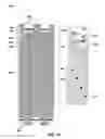 Fig. 22 - Semiconductor devices including conductive lines and methods of forming the semiconductor devices