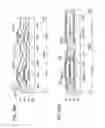 Fig. 31 - Light-emitting device