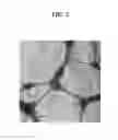 Fig. 03 - SEPARATOR, ELECTROCHEMICAL CELL INCLUDING SEPARATOR, METHOD OF PREPARING SEPARATOR, AND NON-WOVEN FABRIC
