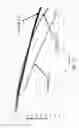 Fig. 30 - Multi-electrode electrochemical cell and method of making the same