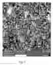 Fig. 04 - Metal infiltrated electrodes for solid state batteries
