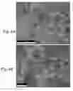 Fig. 05 - Metal infiltrated electrodes for solid state batteries