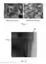 Fig. 06 - LITHIUM MANGANESE OXIDE SPINEL AND MANUFACTURING METHOD THEREFOR
