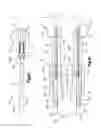Fig. 04 - Electrical cable assembly