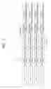 Fig. 06 - Method and device for transmitting data unit