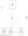 Fig. 02 - Providing access to a smartcard within a remote session