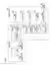 Fig. 02 - FOCUS ADJUSTING DEVICE AND FOCUS ADJUSTING PROGRAM WITH CONTROL UNIT TO GUIDE A LIGHT IMAGE BASED UPON DETECTED DISTRIBUTIONS