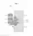 Fig. 07 - Imaging element, driving method, and electronic device