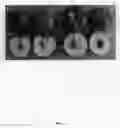 Fig. 02 - Nectarine tree named 'Smooth Delight Three'