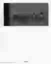 Fig. 07 - Peach tree named 'Fire zest one'