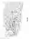 Fig. 12 - Row digger