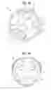Fig. 20 - Water level indicator