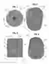 Fig. 02 - DUAL-MEDIA HORTICULTURAL PLUG