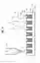 Fig. 07 - DUAL-MEDIA HORTICULTURAL PLUG