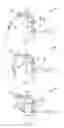 Fig. 02 - Roping practice apparatus and method