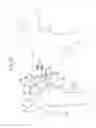 Fig. 06 - ABSORBENT ARTICLE FOR PET ANIMALS