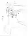 Fig. 09 - ABSORBENT ARTICLE FOR PET ANIMALS