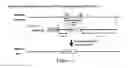 Fig. 03 - Method for producing non-human large mammal or fish each capable of producing gamete originated from different individual
