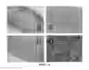 Fig. 06 - Method for producing non-human large mammal or fish each capable of producing gamete originated from different individual