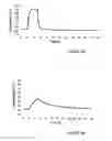 Fig. 07 - Container system for transport of biological material, uses thereof and methods of packaging