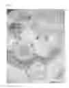 Fig. 07 - Butter cream for making cake and method for making same