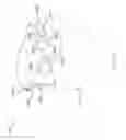 Fig. 11 - Device for Securing an Article of Clothing
