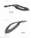 Fig. 07 - Footwear Sole Structure Including a Spring Plate