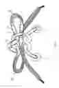 Fig. 06 - Slip resistant shoelace and cord