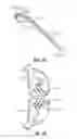 Fig. 19 - Quick-pull shoe closure
