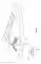 Fig. 07 - CLOSURE AND FASTENING SYSTEM FOR SHOES
