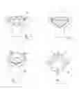 Fig. 02 - Item of jewelry