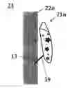 Fig. 01 - Nail tip, nail tip positioning assistance tool, and nail tip for display provided therewith