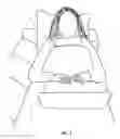 Fig. 05 - Head and Neck Support Device for Seated or Recumbent Use