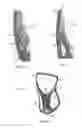 Fig. 07 - Ergonomic chair