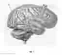Fig. 02 - Insert imaging device for surgical procedures