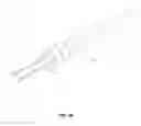 Fig. 07 - Insert imaging device for surgical procedures