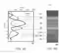 Fig. 09 - Strain sensing element, pressure sensor, microphone, blood pressure sensor, and touch panel