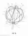 Fig. 05 - Electrophysiological mapping catheter