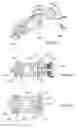 Fig. 41 - Intraosseous device couplers, drivers, kits, and methods
