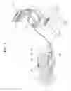 Fig. 02 - Biopsy apparatus and method for operating the same