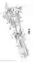 Fig. 07 - Surgical stapling loading unit having articulating jaws
