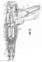 Fig. 16 - Endoscopic reposable surgical clip applier