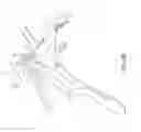 Fig. 04 - Push button rongeur
