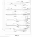 Fig. 07 - Clot retrieval system