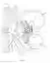 Fig. 08 - Spinal implant system and method