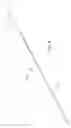Fig. 04 - Articulating osteotome with cement delivery channel