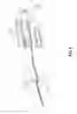 Fig. 07 - Positioning system for an imaging device