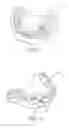Fig. 02 - Method and system for making a dental restoration
