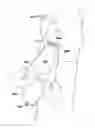 Fig. 01 - STERILE IMPLANT DELIVERY SYSTEM