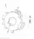 Fig. 12 - Prosthetic mitral valve holders
